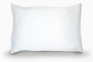 Ecosa Silk Pillowcase White